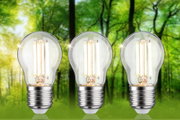 Drei LED-Glühbirnen mit transparentem Glas und silbernem Sockel vor grünem Waldhintergrund