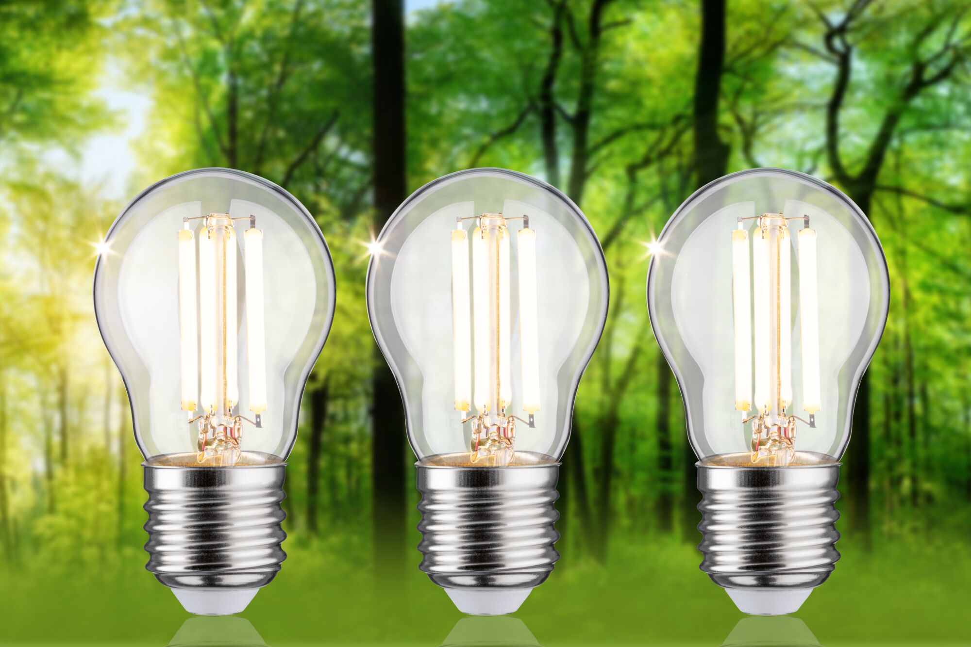 Drei LED-Glühbirnen mit transparentem Glas und silbernem Sockel vor grünem Waldhintergrund