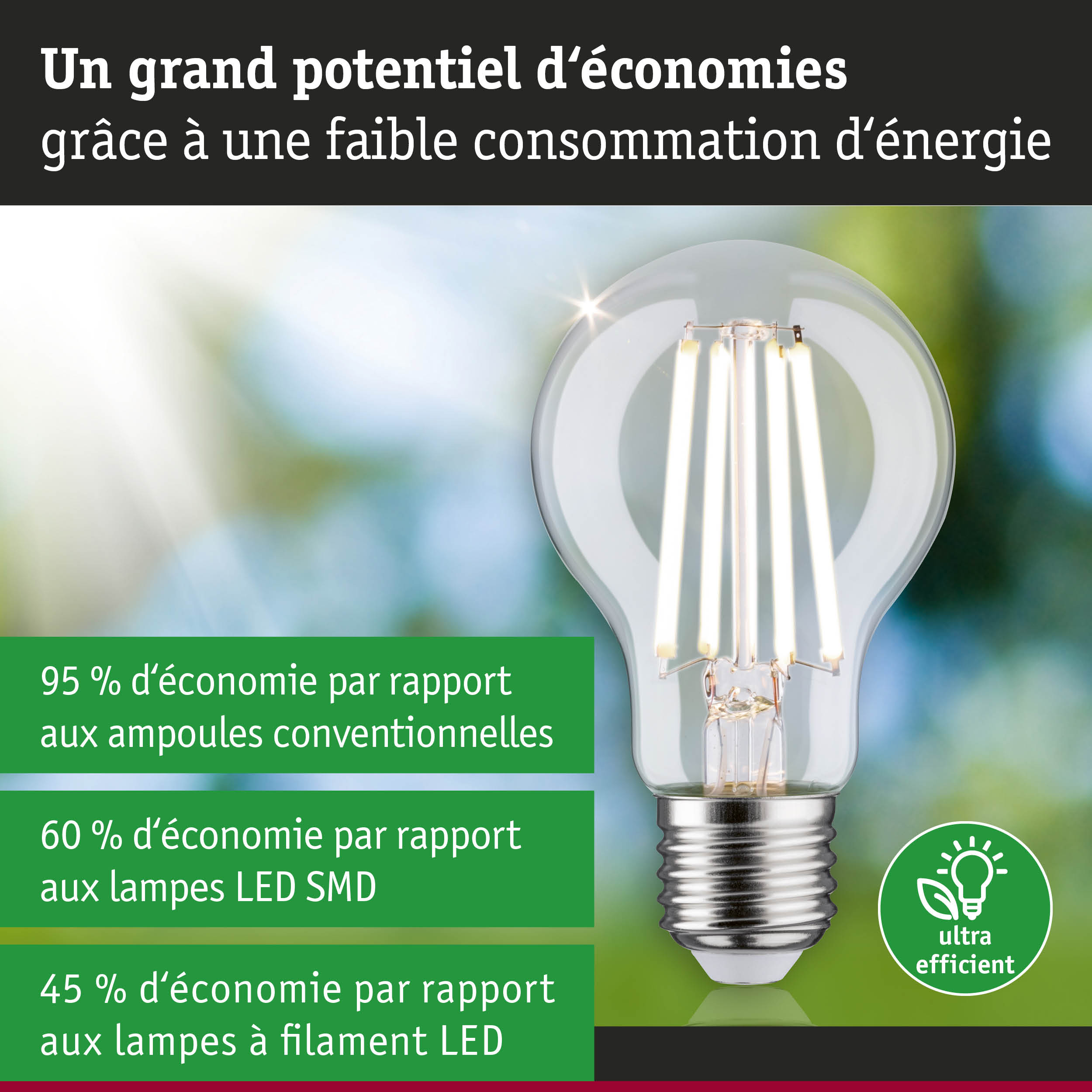 Ampoule LED économique en verre transparent avec base argentée pour un éclairage durable
