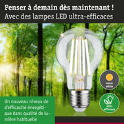 Ampoule LED lumière blanc chaud ultra-efficace sur fond de forêt verte pour économie d'énergie