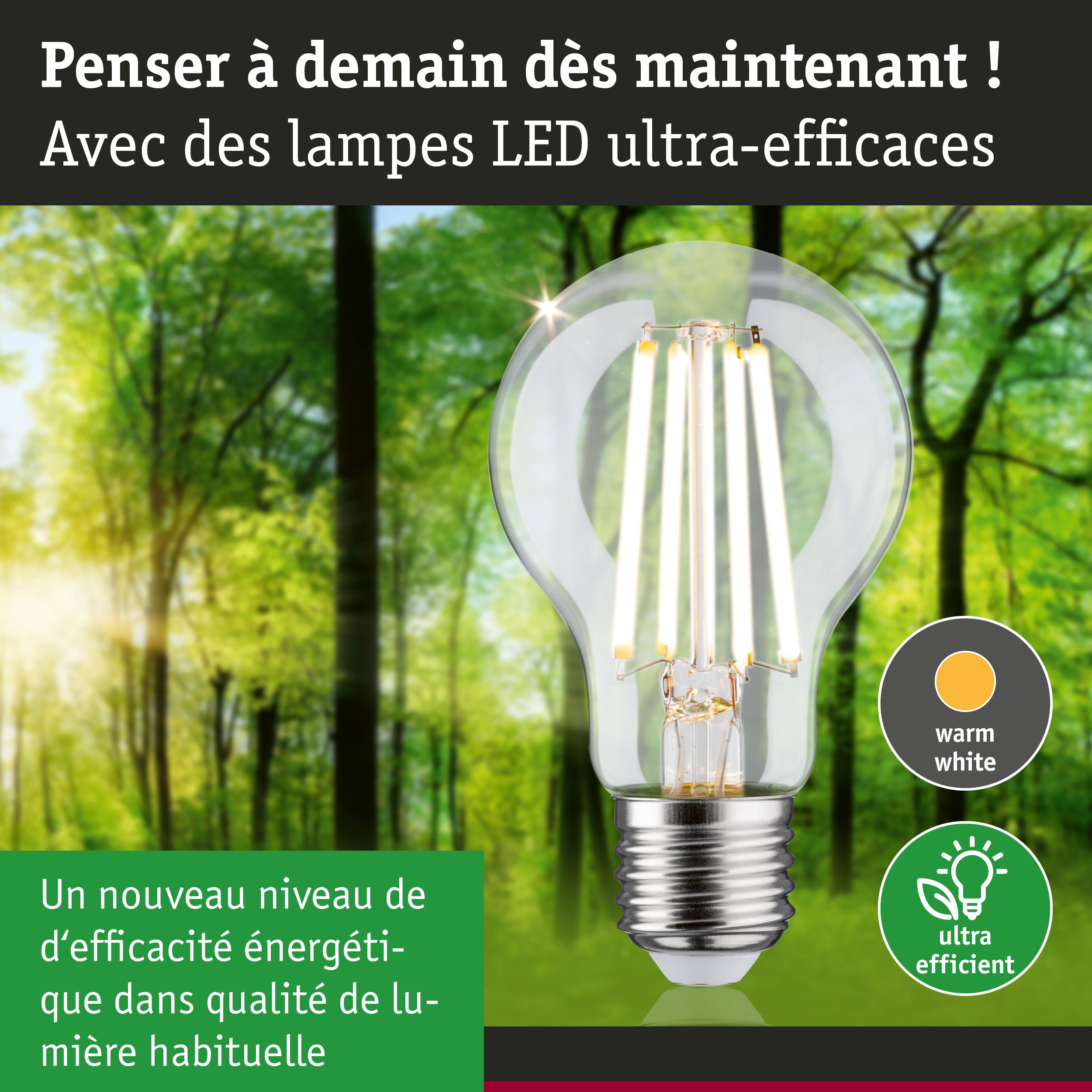 Ampoule LED lumière blanc chaud ultra-efficace sur fond de forêt verte pour économie d'énergie