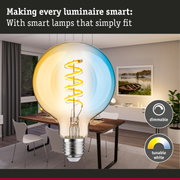 Large light bulb with spiral lamp in modern dining room, dimmable and tunable white LED lighting