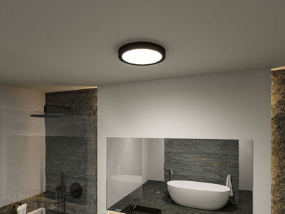 Round ceiling light with black frame in modern bathroom featuring freestanding bathtub.