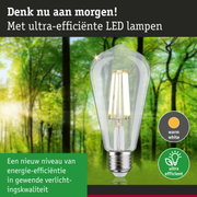 Transparante LED-lamp met warm wit licht en ultra-efficiënt energieverbruik tegen groene bosachtergrond