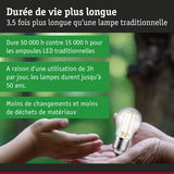 Ampoule LED avec durée de vie prolongée jusqu’à 50 000 heures pour éclairage durable