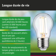 Ampoule LED à longue durée de vie tenue en main, éclairage durable et économique