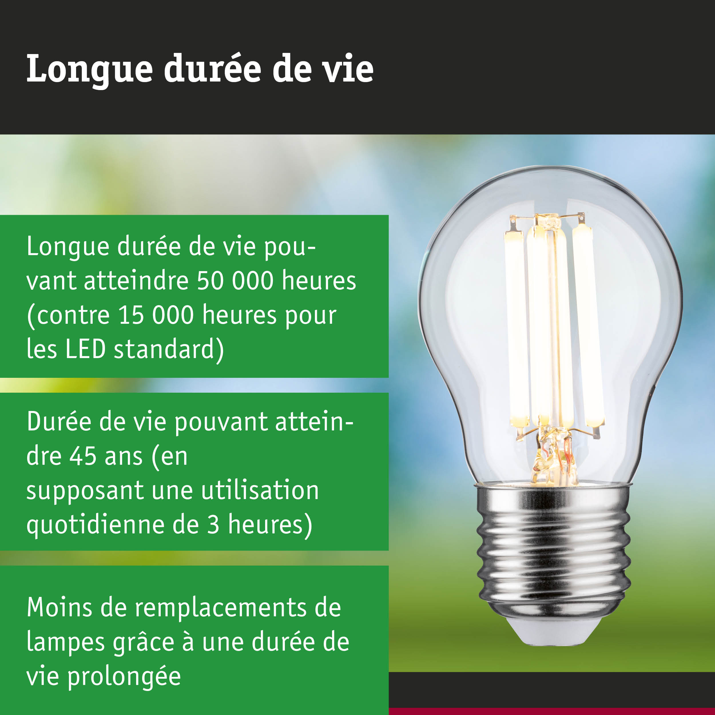 Ampoule LED à longue durée de vie tenue en main, éclairage durable et économique