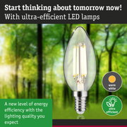 Clear LED bulb with warm white light and ultra-efficient energy use for sustainable lighting