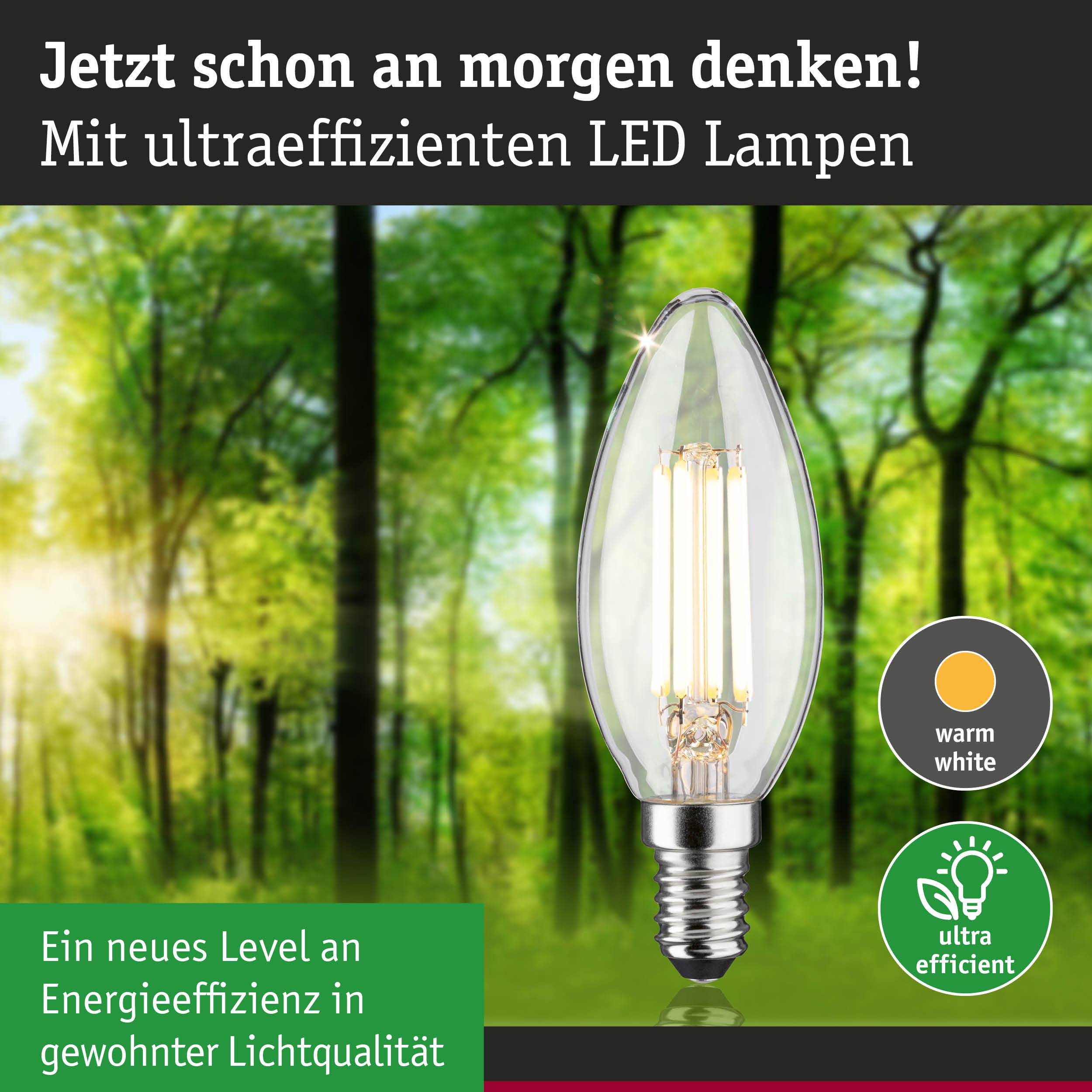 Klarer LED-Leuchtmittel in Kerzenform mit warmweißem Licht und hoher Energieeffizienz im Waldhintergrund