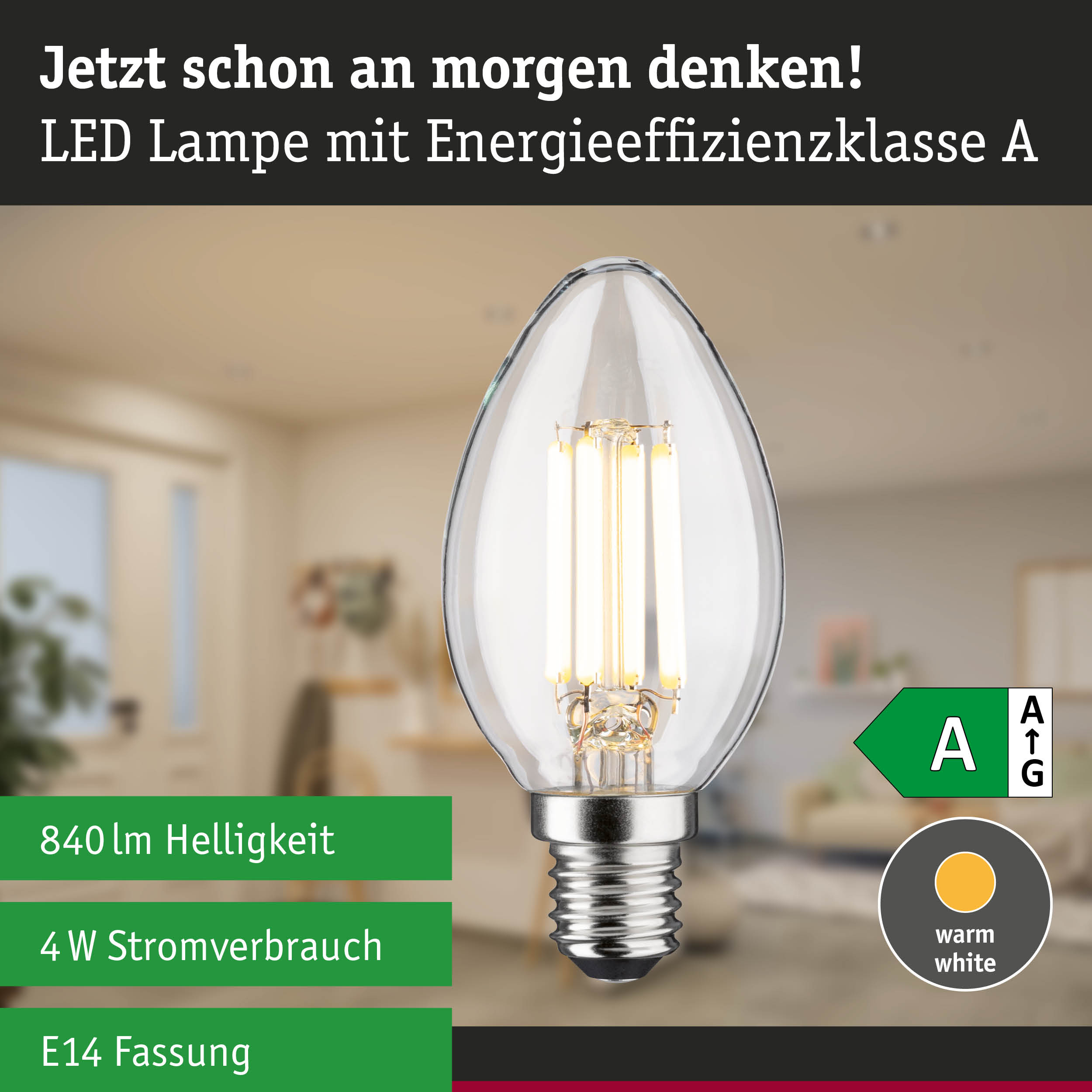 Klarer LED-Leuchtmittel in Kerzenform mit warmweißem Licht und hoher Energieeffizienz im Waldhintergrund