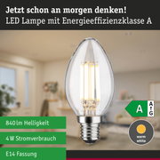 Klarer LED-Leuchtmittel in Kerzenform mit warmweißem Licht und hoher Energieeffizienz im Waldhintergrund