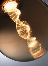 Close-up of warm white LED filament bulb with spiral light filament inside glass housing