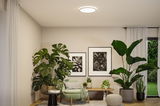 Plafonnier rond blanc dans un salon moderne avec plantes vertes et fauteuil confortable.