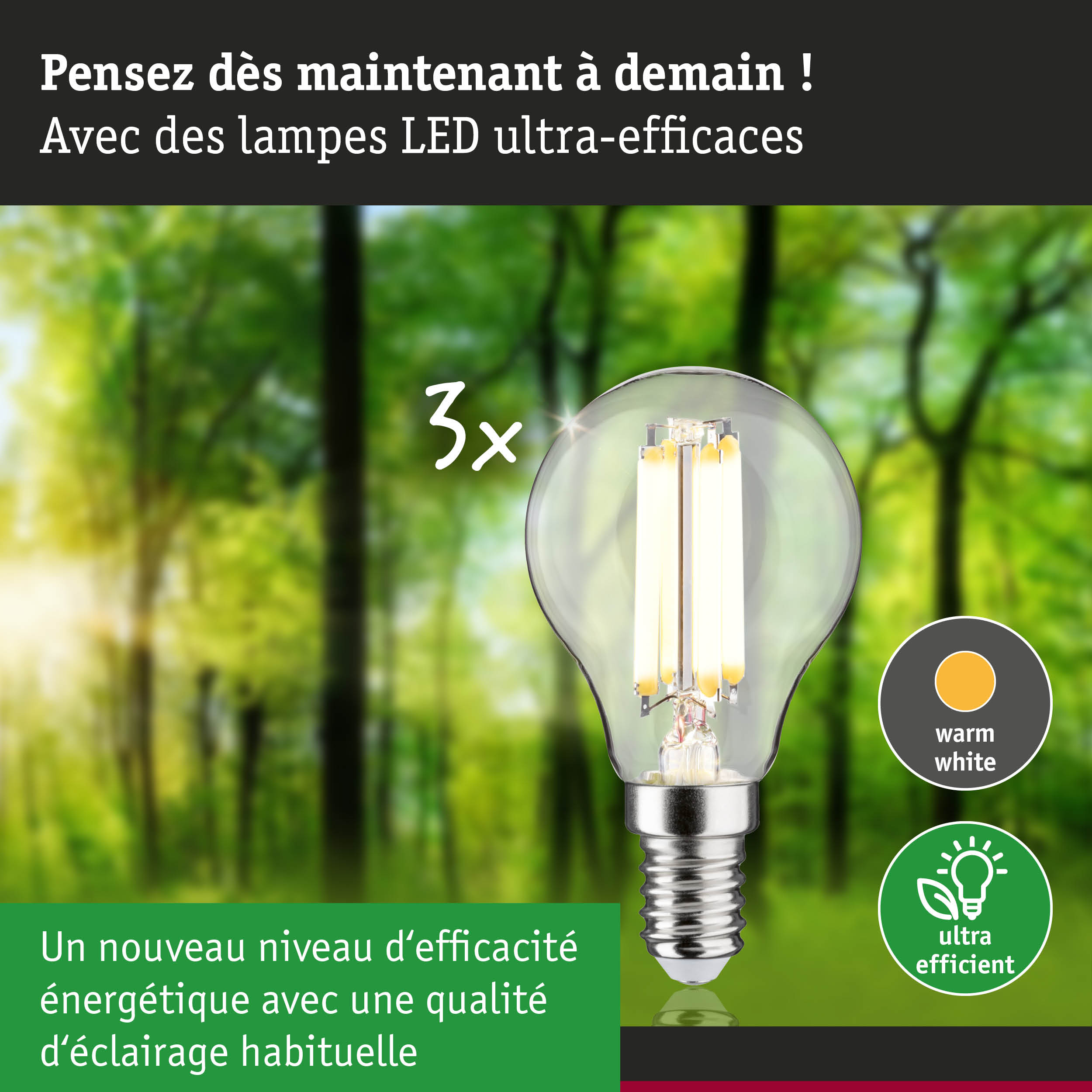 Ampoule LED à lumière blanc chaud et haute efficacité énergétique sur fond de forêt verte