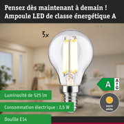 Ampoule LED à lumière blanc chaud et haute efficacité énergétique sur fond de forêt verte