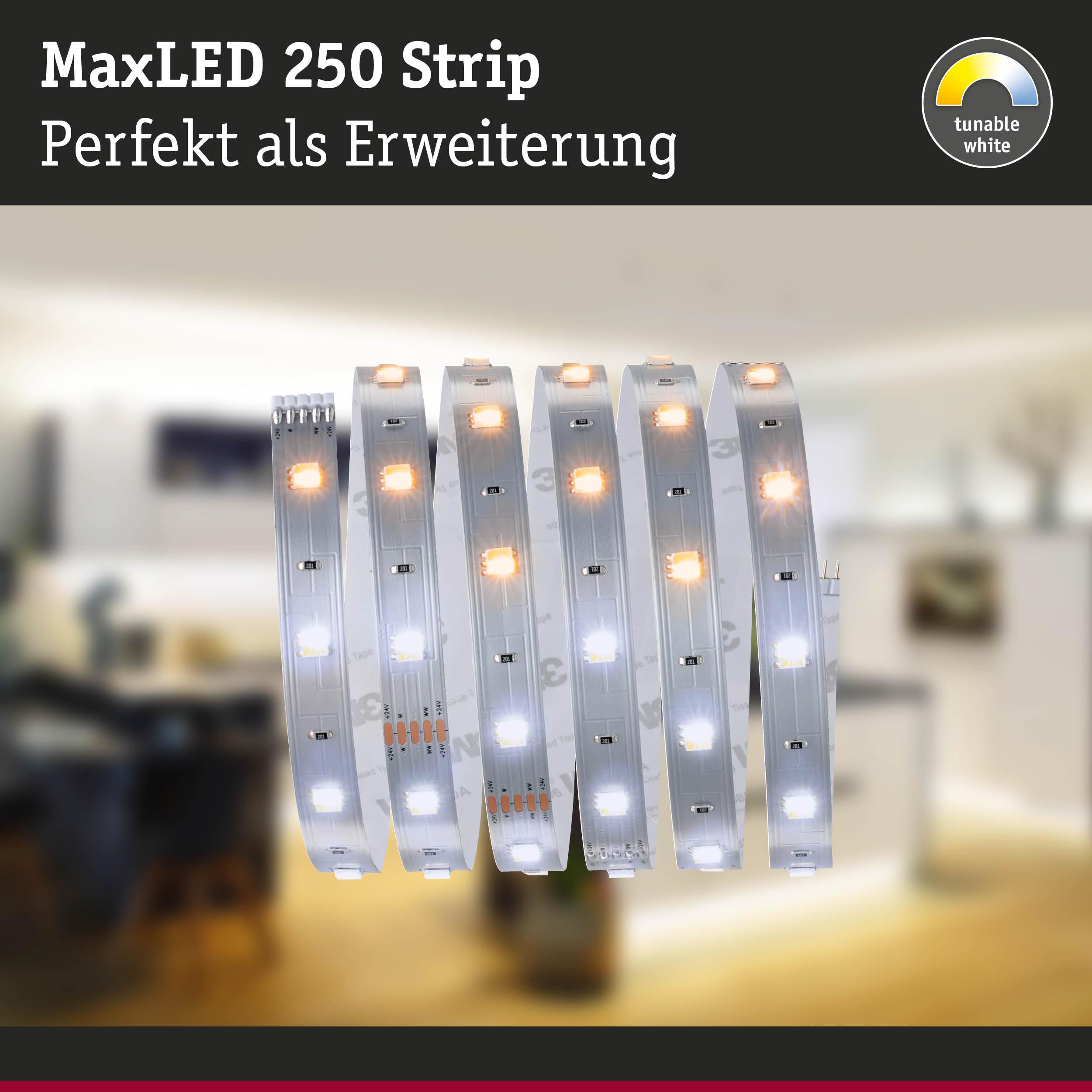 MaxLED 250 Strip LED-Lichtband mit einstellbarem Weißton, ideal als Erweiterung für Wohnräume