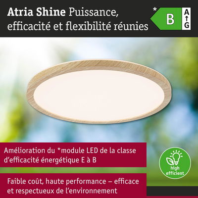 Plafonnier LED rond avec cadre en bois naturel, solution d'éclairage écoénergétique et respectueuse