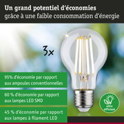 Ampoule LED économique en verre transparent avec culot argenté pour un éclairage durable