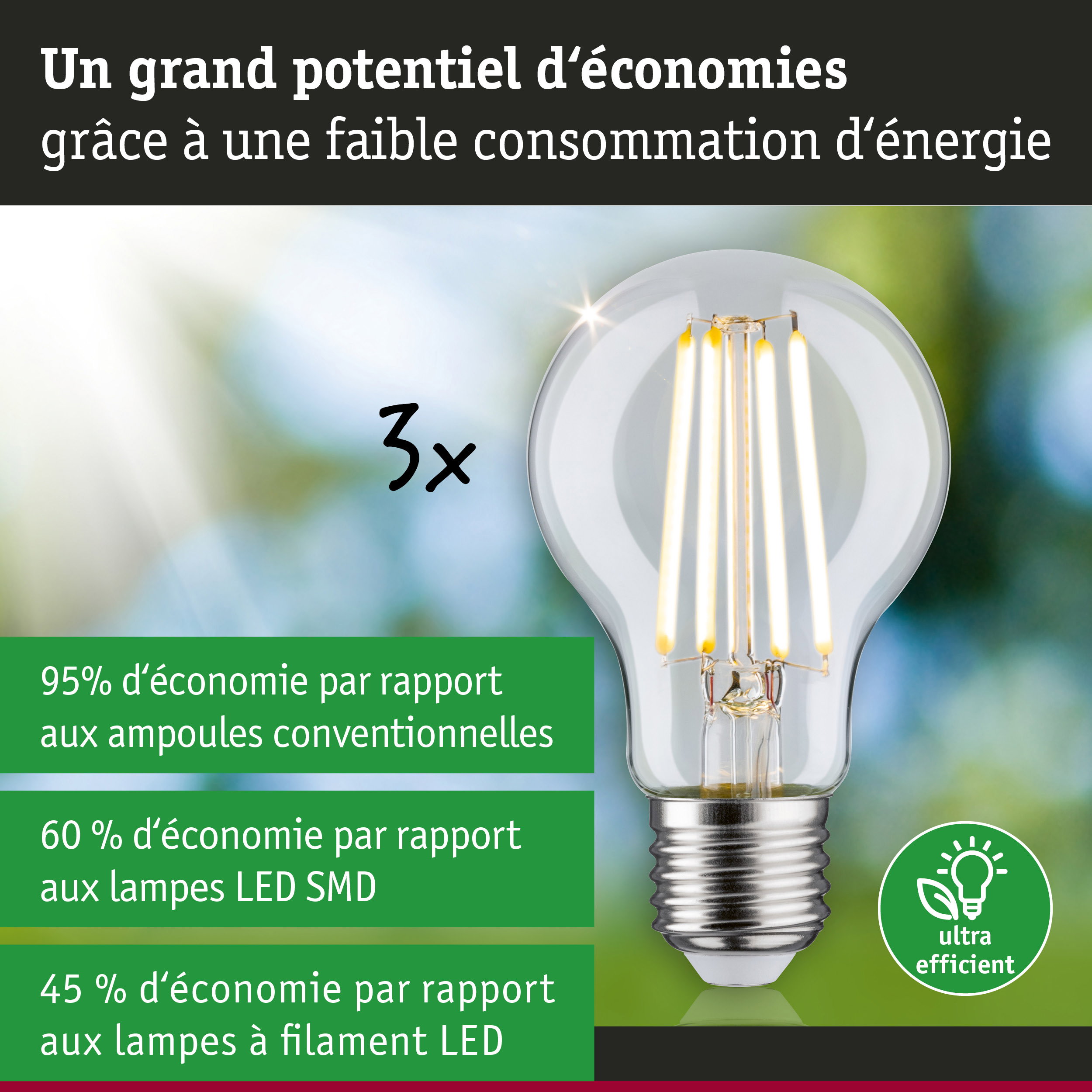 Ampoule LED économique en verre transparent avec culot argenté pour un éclairage durable
