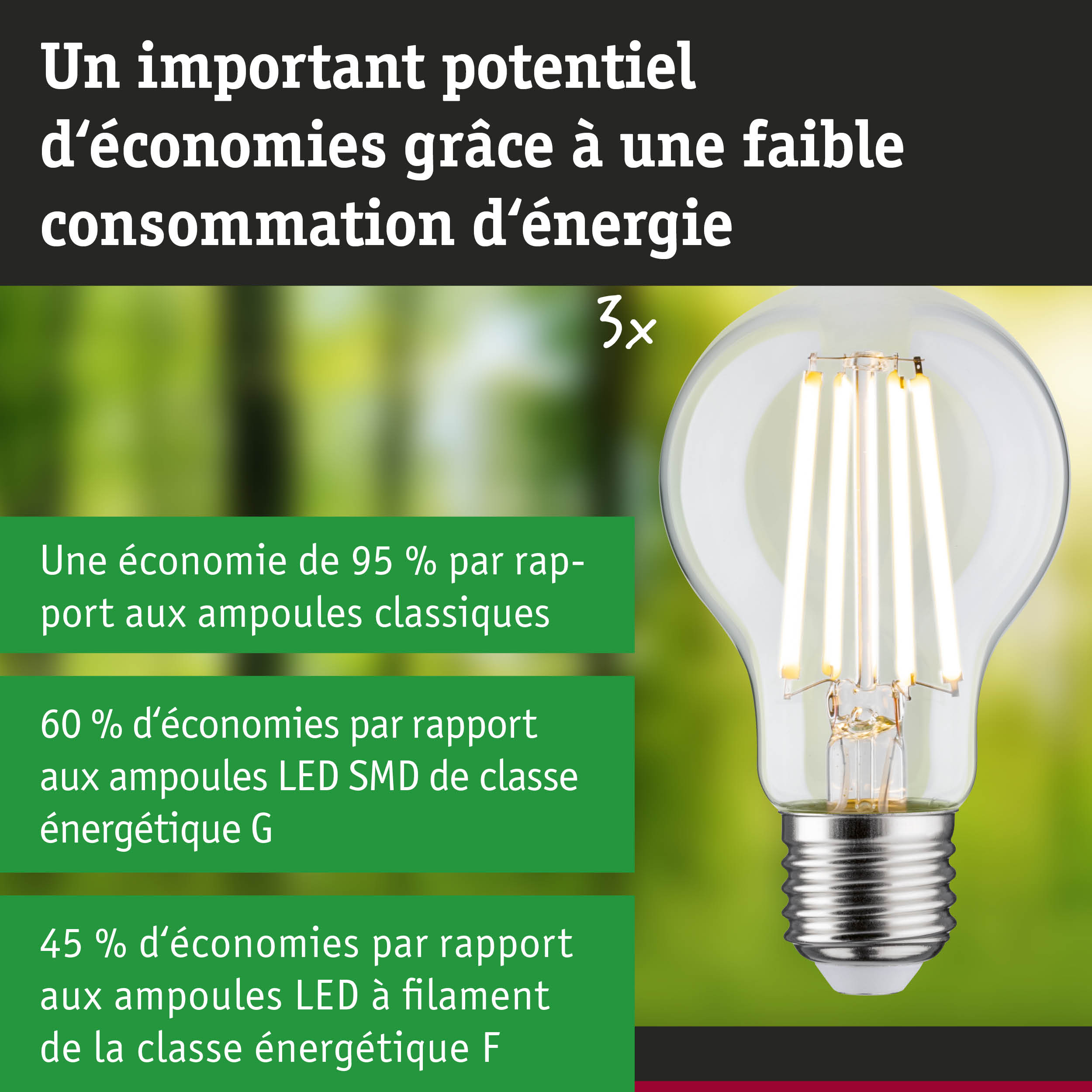 Ampoule LED économique en verre transparent avec culot argenté pour un éclairage durable