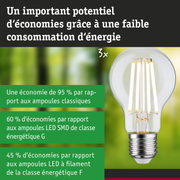 Ampoule LED économique en verre transparent avec culot argenté pour un éclairage durable