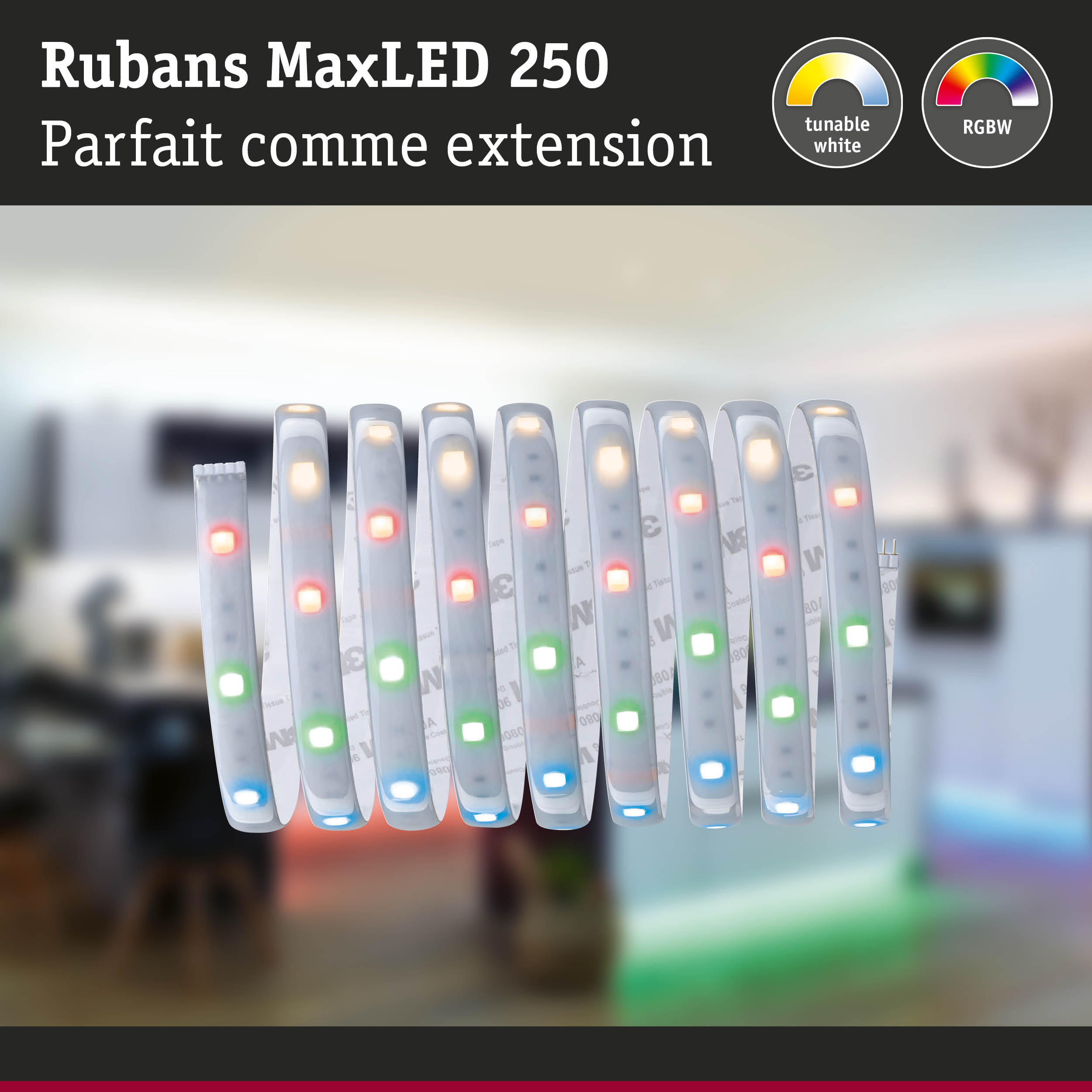 Bandes LED flexibles RGBW avec blanc réglable pour solutions d'éclairage personnalisées