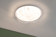 LED Deckenleuchte Cremona White Select 370mm 230V 21,2W Weiß/Transparent