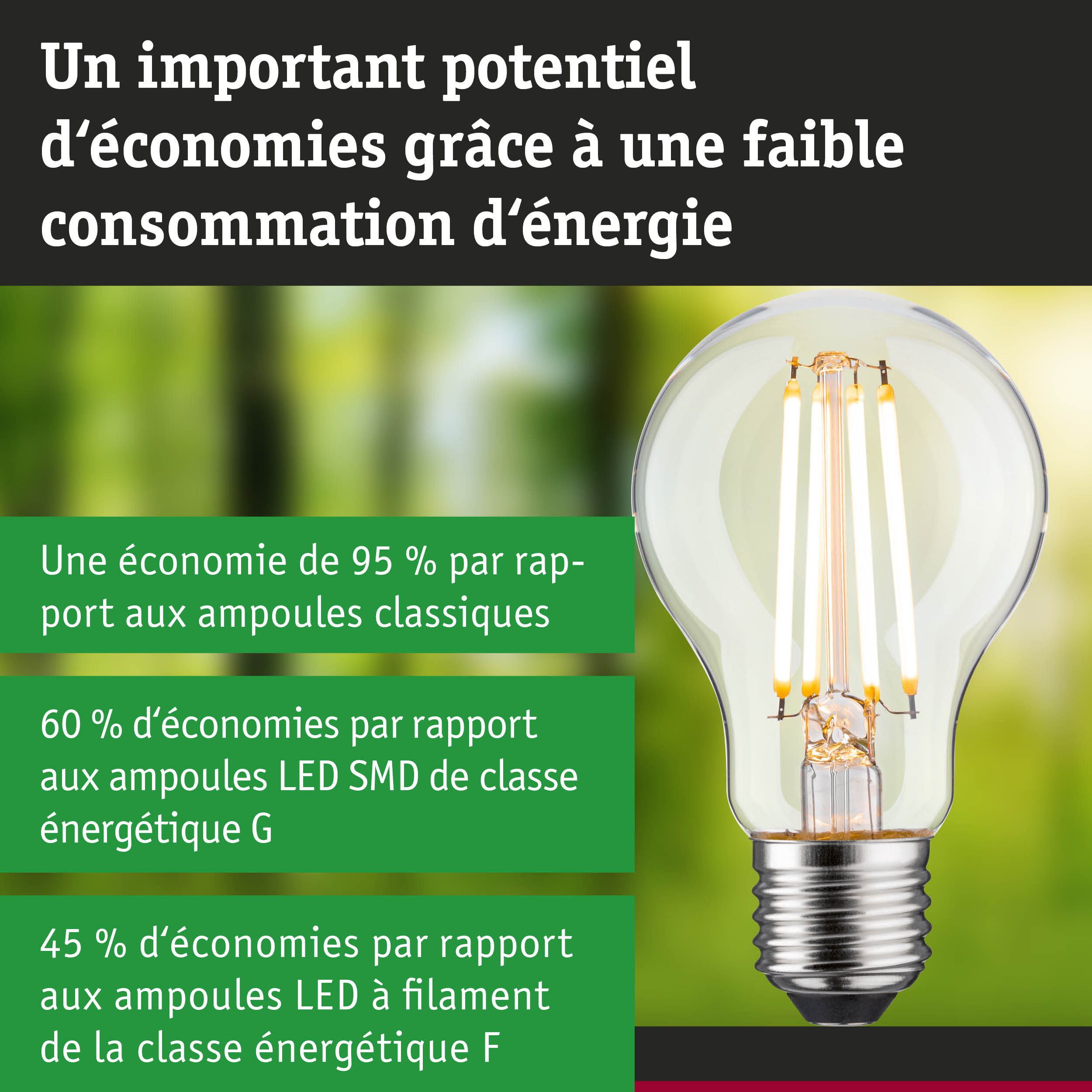 Ampoule LED économique à verre transparent et base argentée pour un éclairage durable et efficace