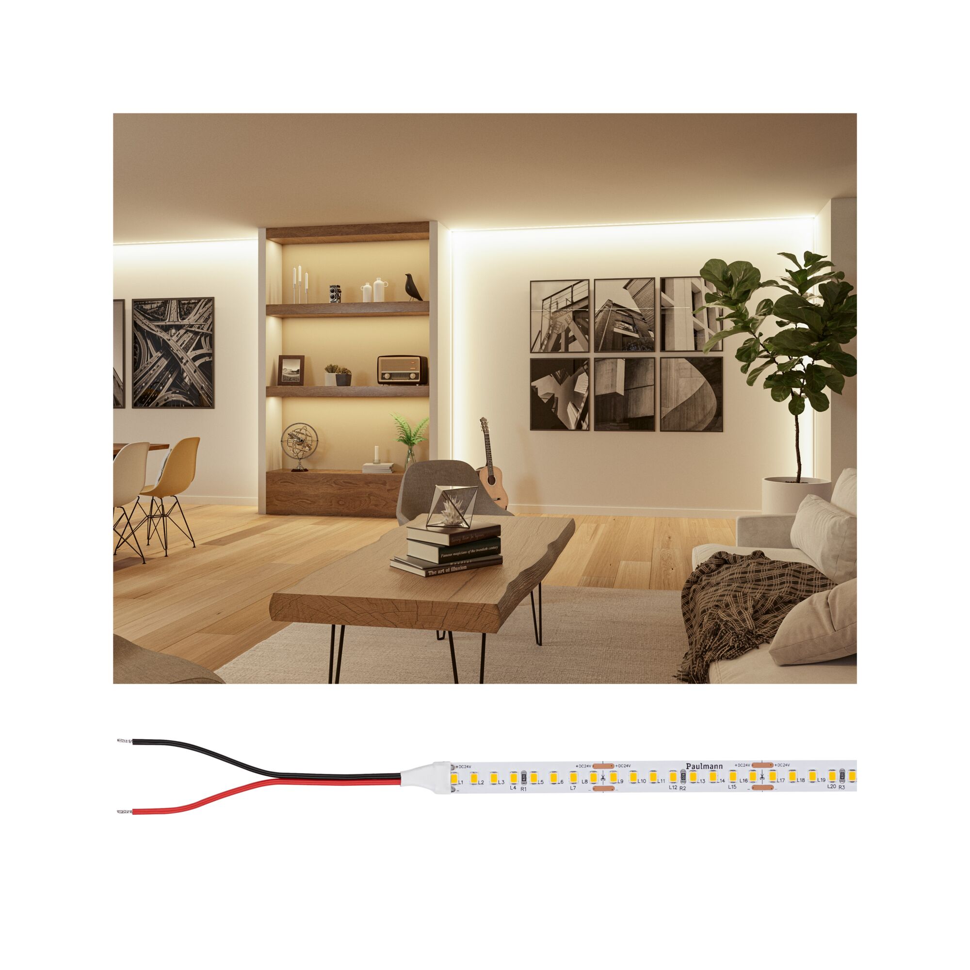 24V LED strip light with black and red power cables for versatile lighting applications