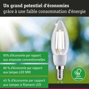 Ampoule basse consommation avec verre transparent et culot E14, illustrant l'efficacité énergétique