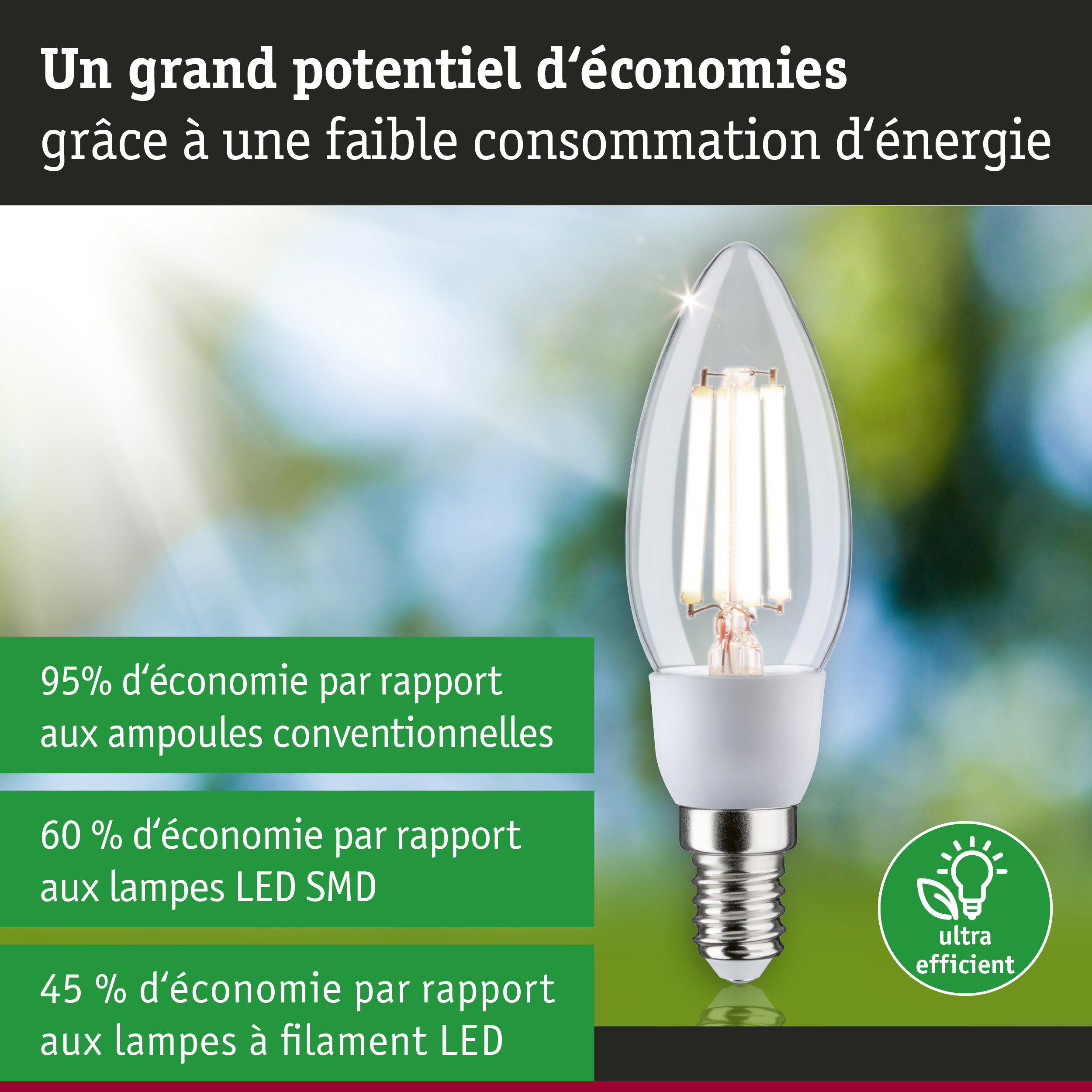 Ampoule basse consommation avec verre transparent et culot E14, illustrant l'efficacité énergétique
