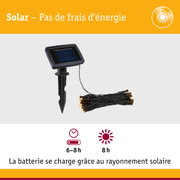 Panneau solaire noir avec guirlande LED et piquet pour éclairage extérieur économique en énergie