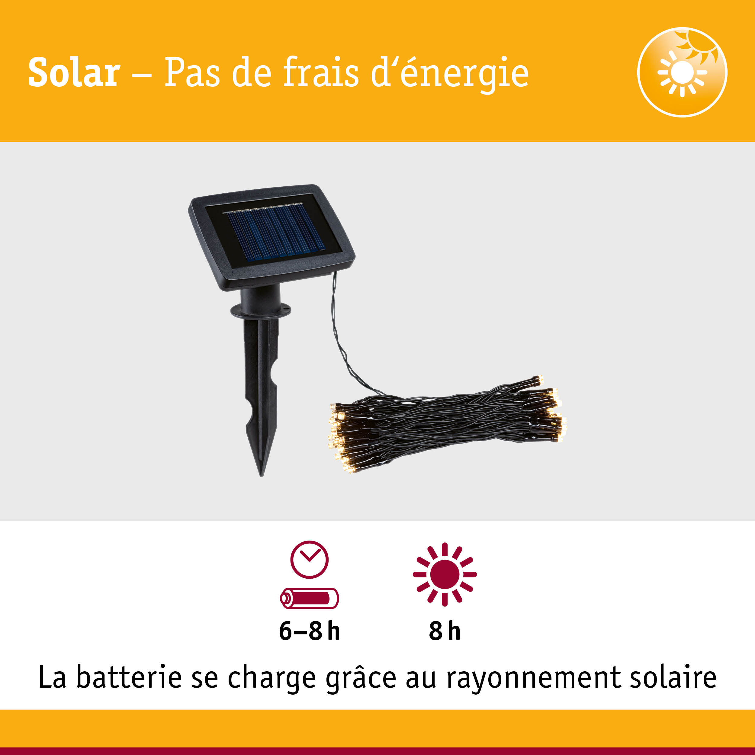 Panneau solaire noir avec guirlande LED et piquet pour éclairage extérieur économique en énergie