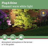 Garden with green foliage and purple flowers lit by warm white Plug & Shine lighting system