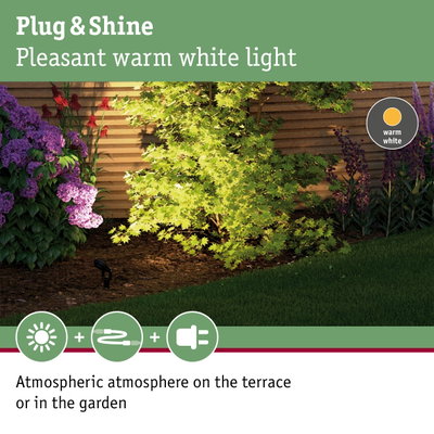 Garden with green foliage and purple flowers lit by warm white Plug & Shine lighting system