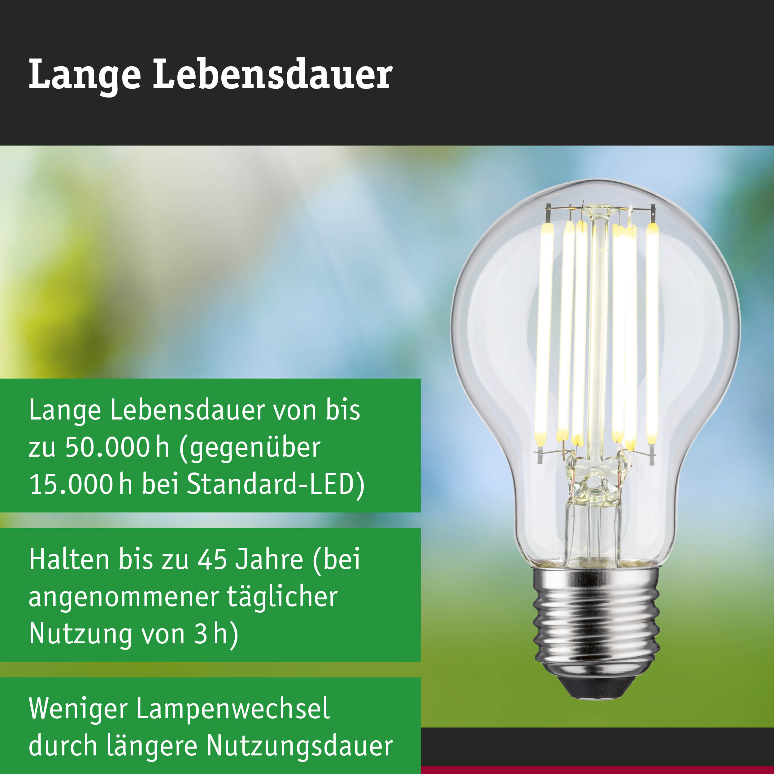Efficient-Line Filament 230V LED Birne E27 Einzelleuchte 1055lm 5W 4000K Klar