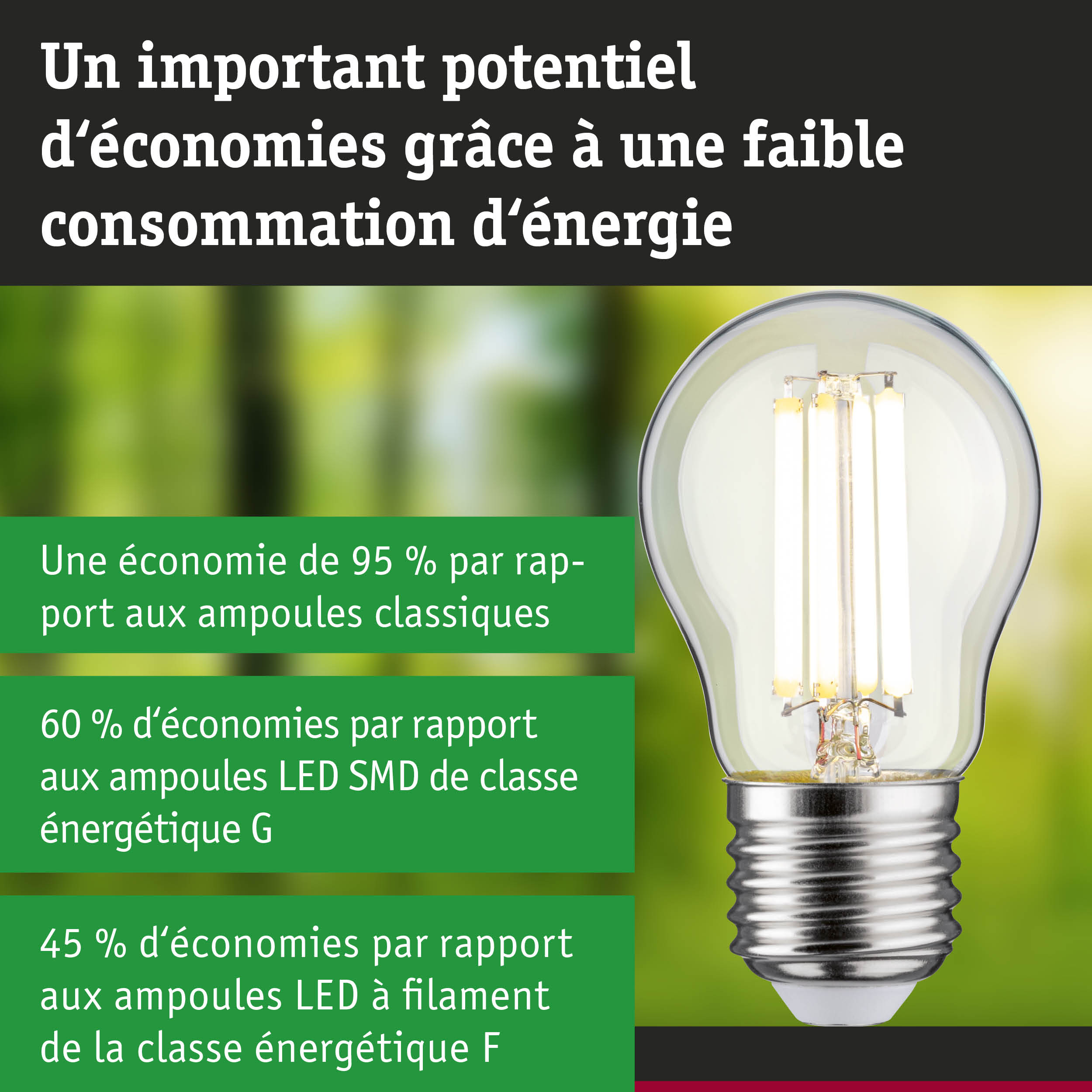 Ampoule LED économique à verre transparent et base argentée pour un éclairage durable