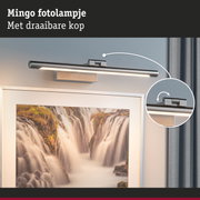 Mingo LED-buitenlamp van geborsteld roestvrij staal in zilver met draaibare kop voor wandverlichting
