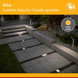 Luminaires encastrés solaires avec lumière blanc chaud sur chemin en pierre grise dans un jardin