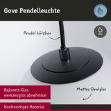 Gove Pendelleuchte mit mattem Opalglas und schwarzem Bajonett-Glas, IP44, kürzbarer Pendel