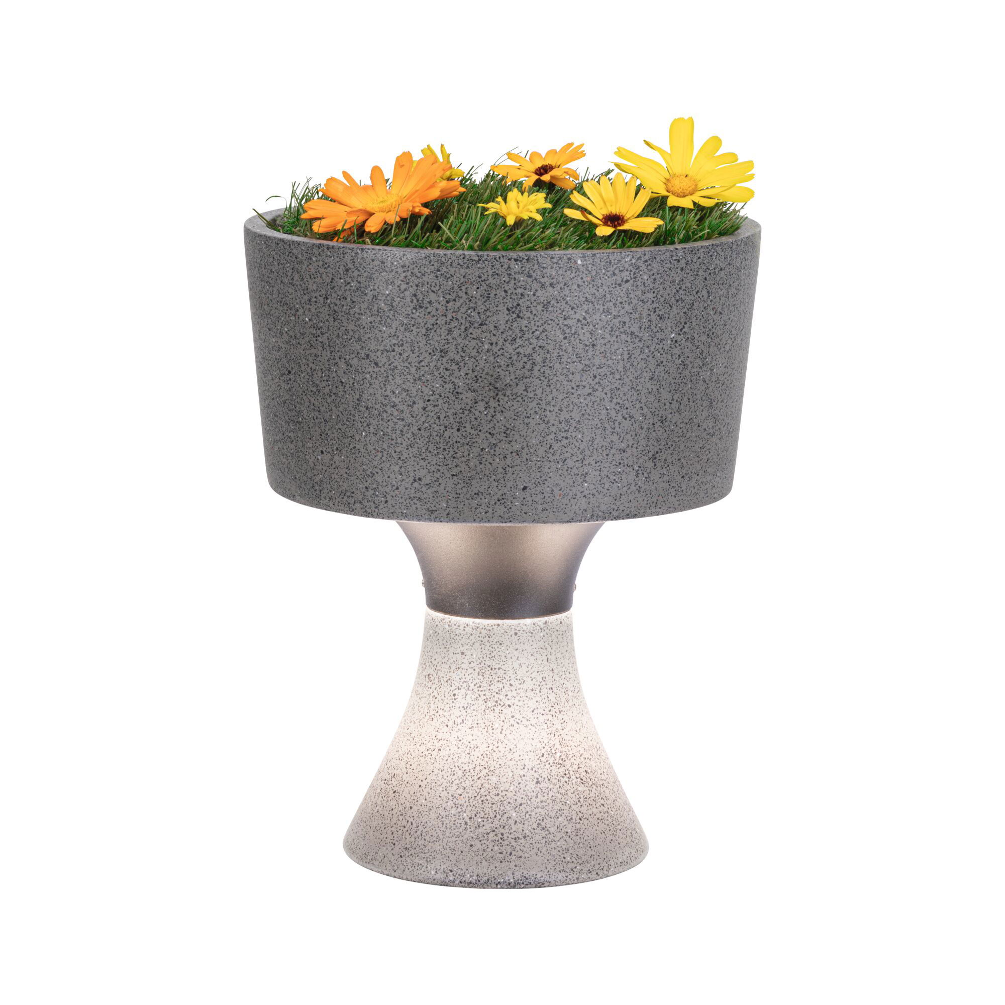 Modern grey stone flower pot with yellow and orange flowers and illuminated base for decoration