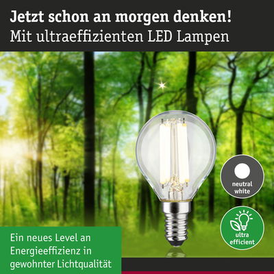 Energiesparende LED-Lampe mit neutralweißem Licht vor grünem Waldhintergrund für nachhaltige Beleuchtung