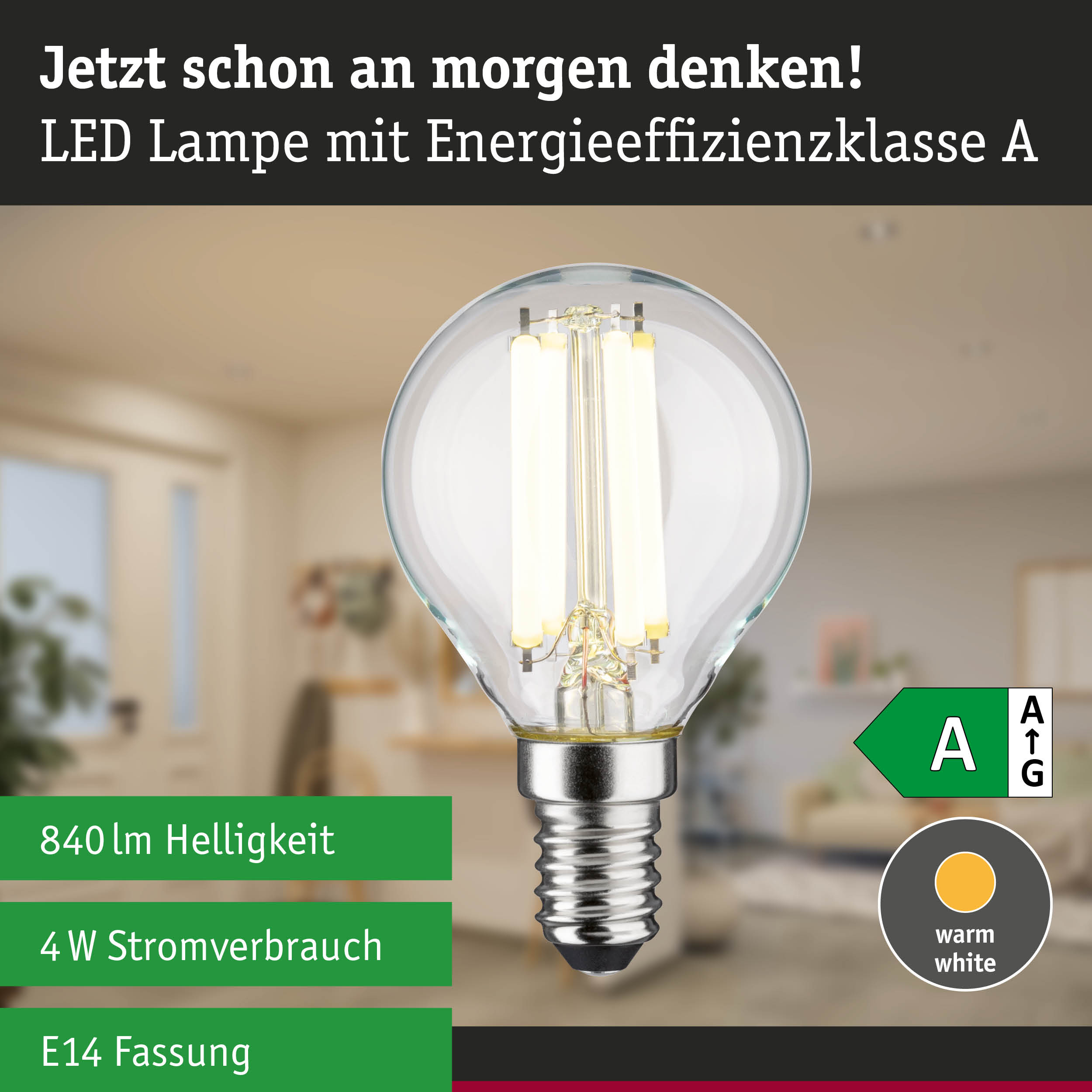LED-Lampe mit neutralweißem Licht und hoher Energieeffizienz vor grünem Waldhintergrund