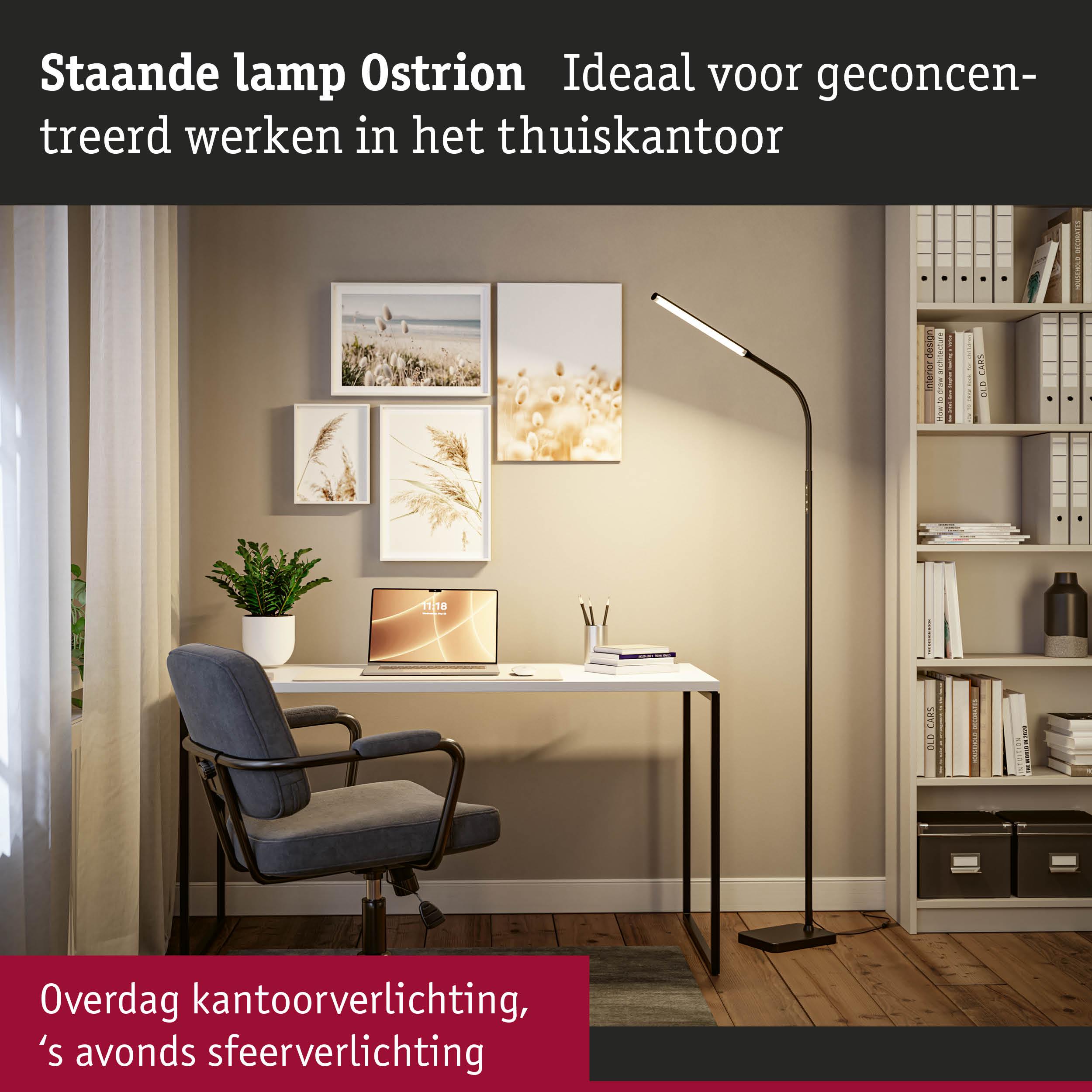 Staande Ostrion LED-lamp in zwart voor geconcentreerd werken en sfeerverlichting thuis