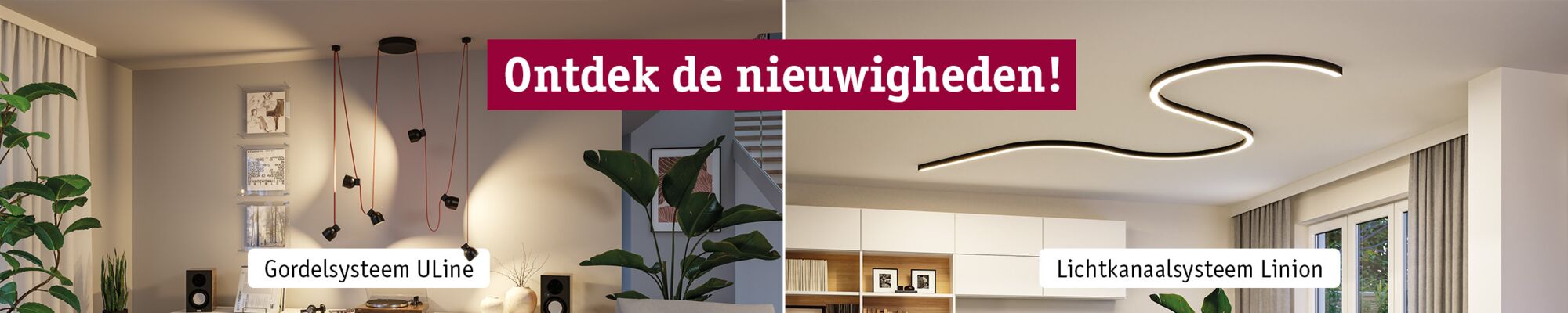 Neuheiten Entdecken Banner