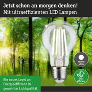 Klarer LED-Leuchtmittel mit neutralweißem Licht und hoher Energieeffizienz vor grünem Waldhintergrund