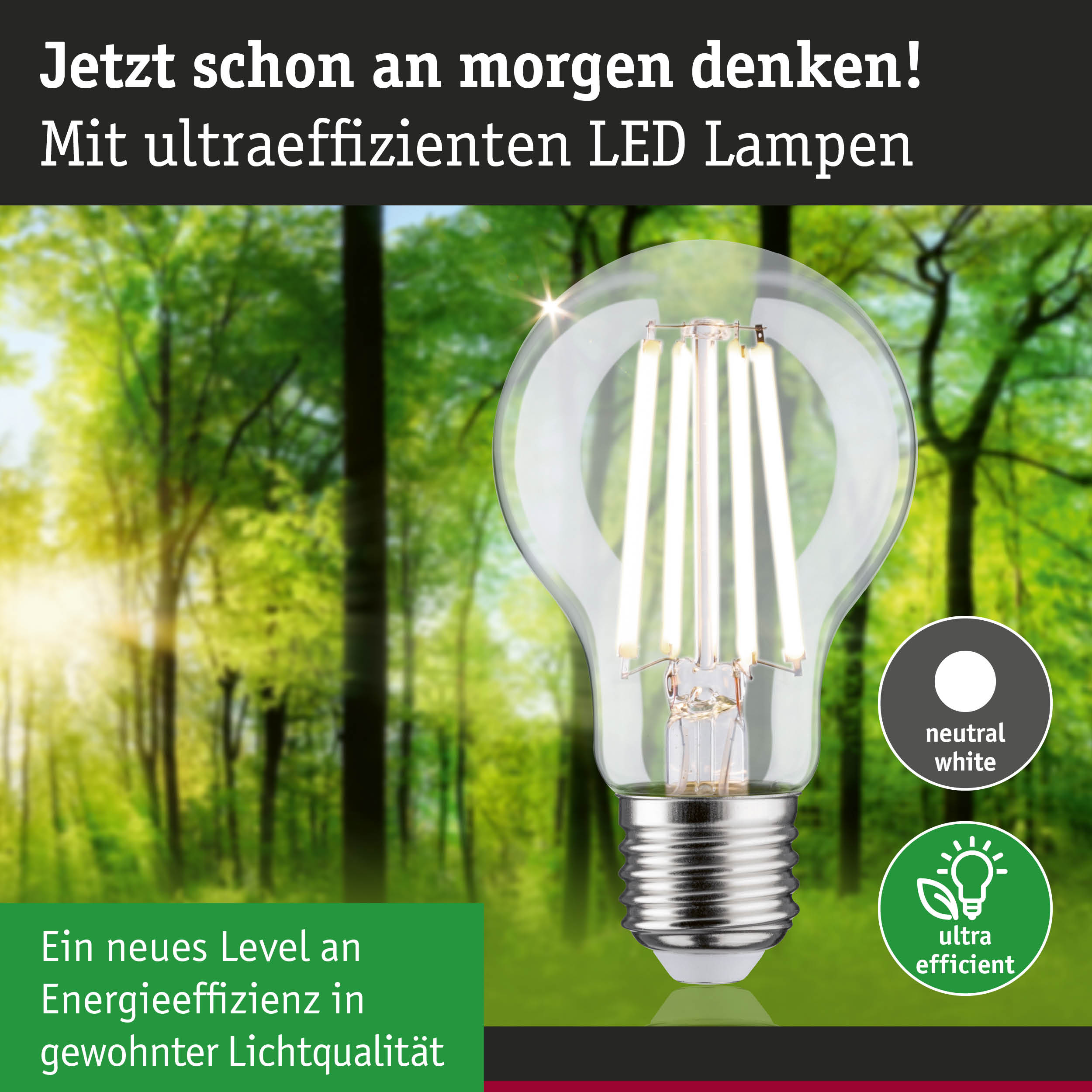 Klarer LED-Leuchtmittel mit neutralweißem Licht und hoher Energieeffizienz vor grünem Waldhintergrund