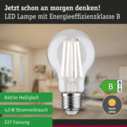 Klarer LED-Leuchtmittel mit neutralweißem Licht und hoher Energieeffizienz vor grünem Waldhintergrund