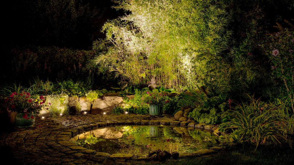 Outdoor garden lighting with warm white LED spots illuminating pond, wall, and bamboo plants