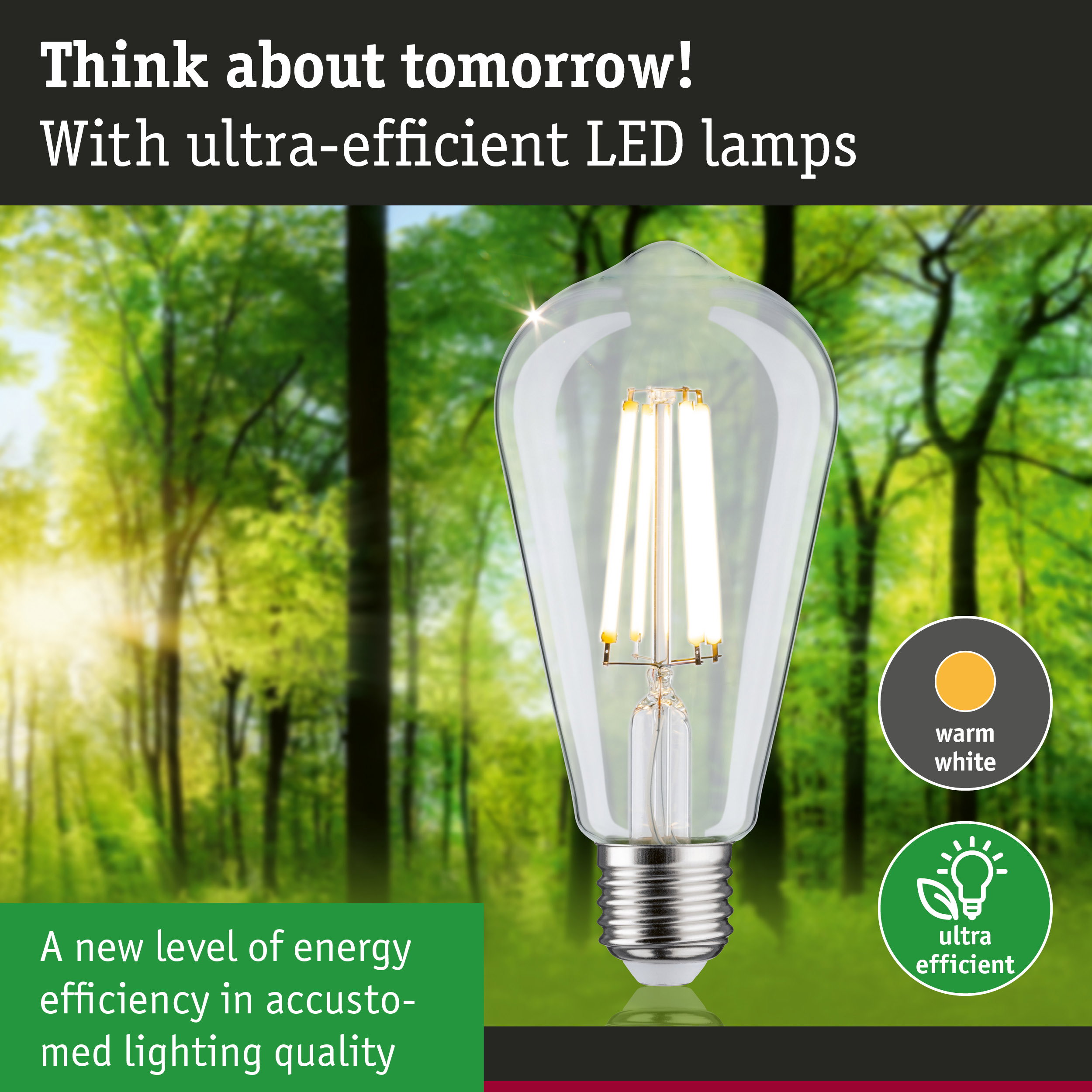 Clear LED bulb with warm white light and ultra-efficient energy use against green forest background